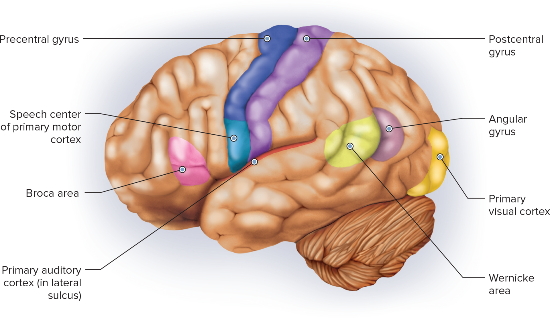 <p>actions</p>