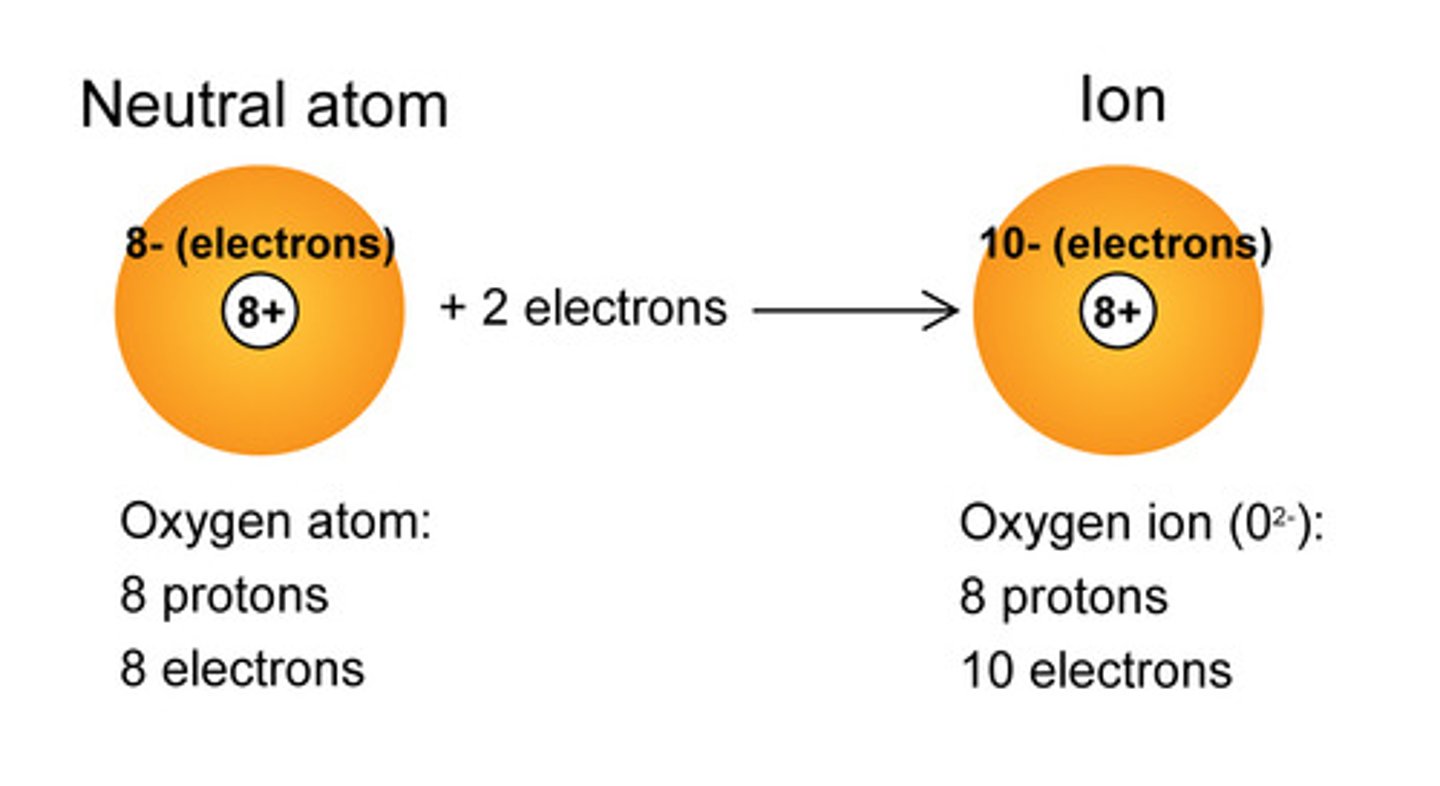 <p>An ion is an atom with different (unequal) numbers of electrons and protons.</p>