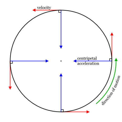 <p><span>a movement of an object along the circumference of a circle.</span></p>