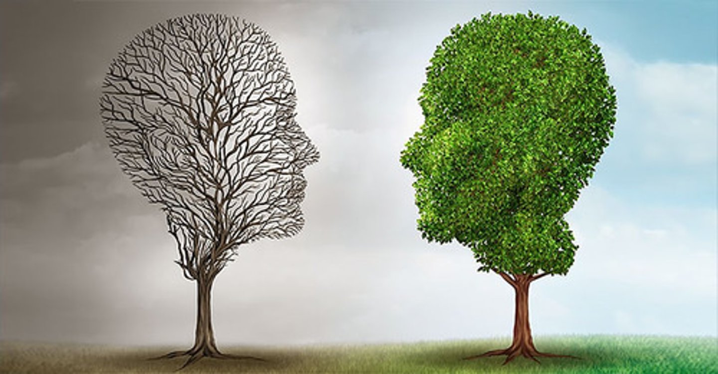 <p>ментальність</p>