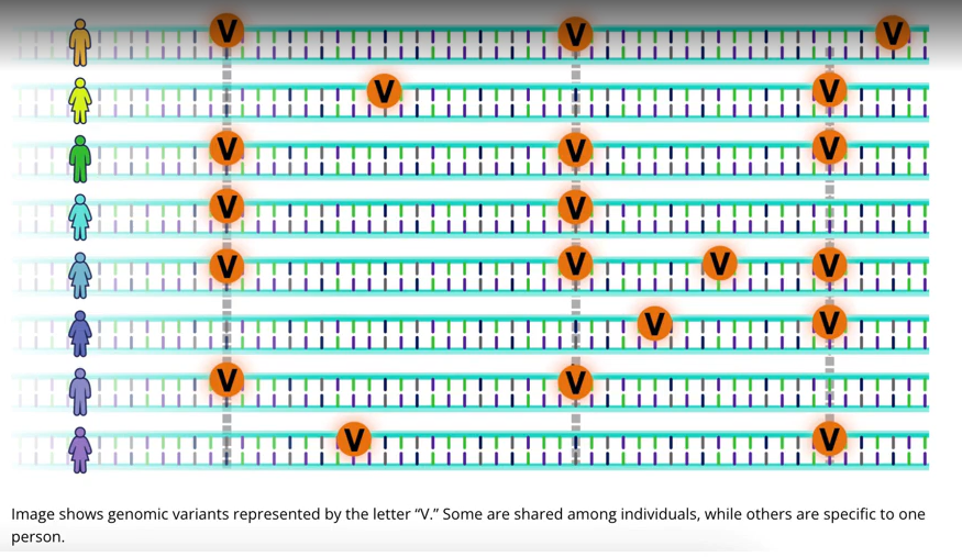 <p>What is V on here</p>