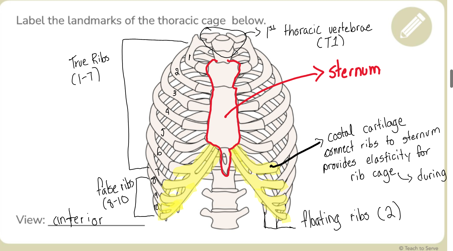 knowt flashcard image