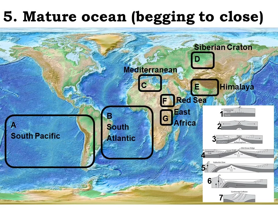 <p>mature ocean (beginning to close)</p>