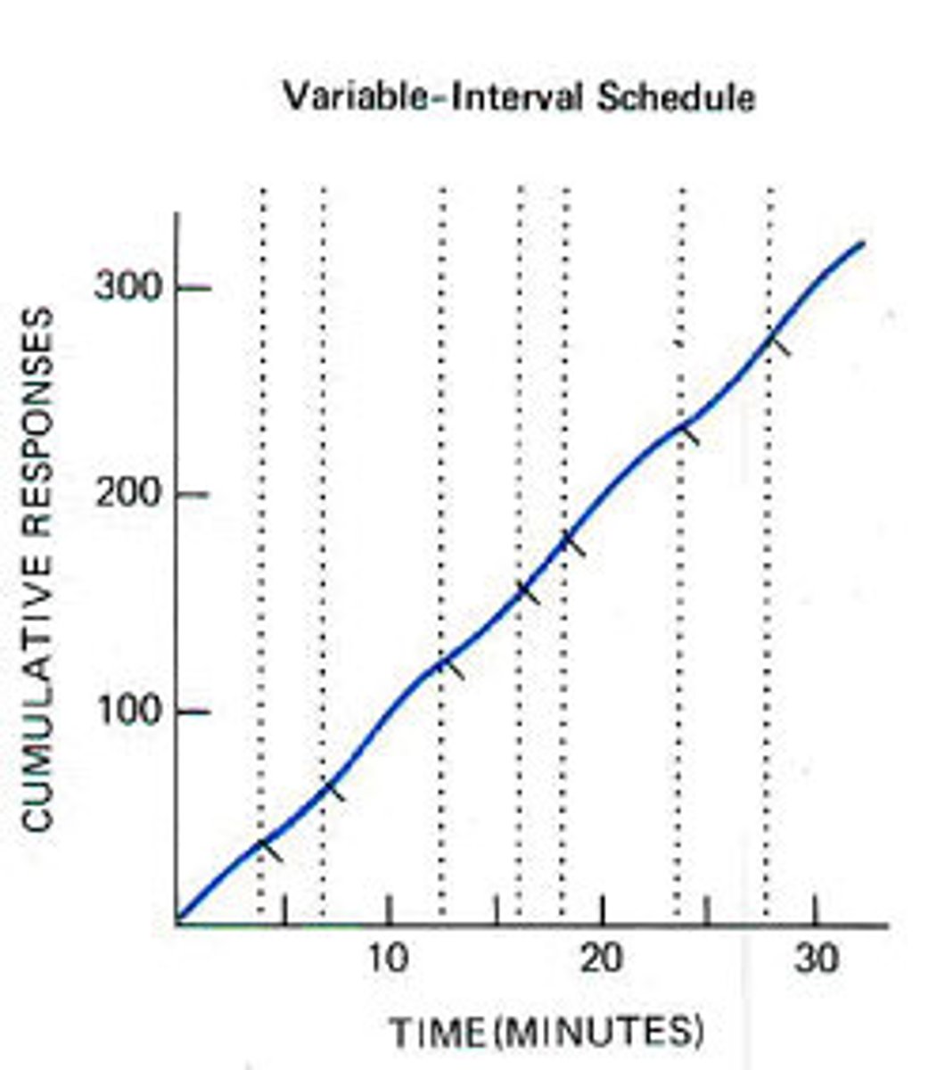 <p>reinforces a response at unpredictable time intervals</p>