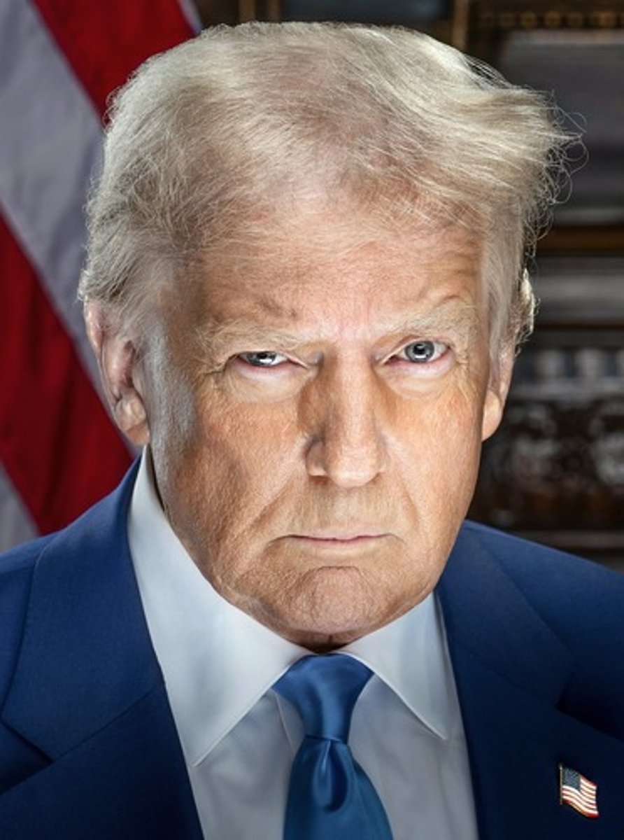 <p>Donald J. Trump (R-FL)</p>