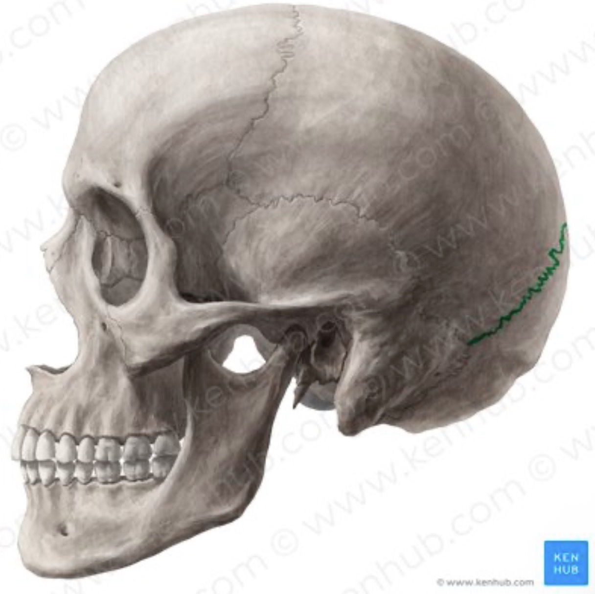 <p>What is the name of this structure?</p>