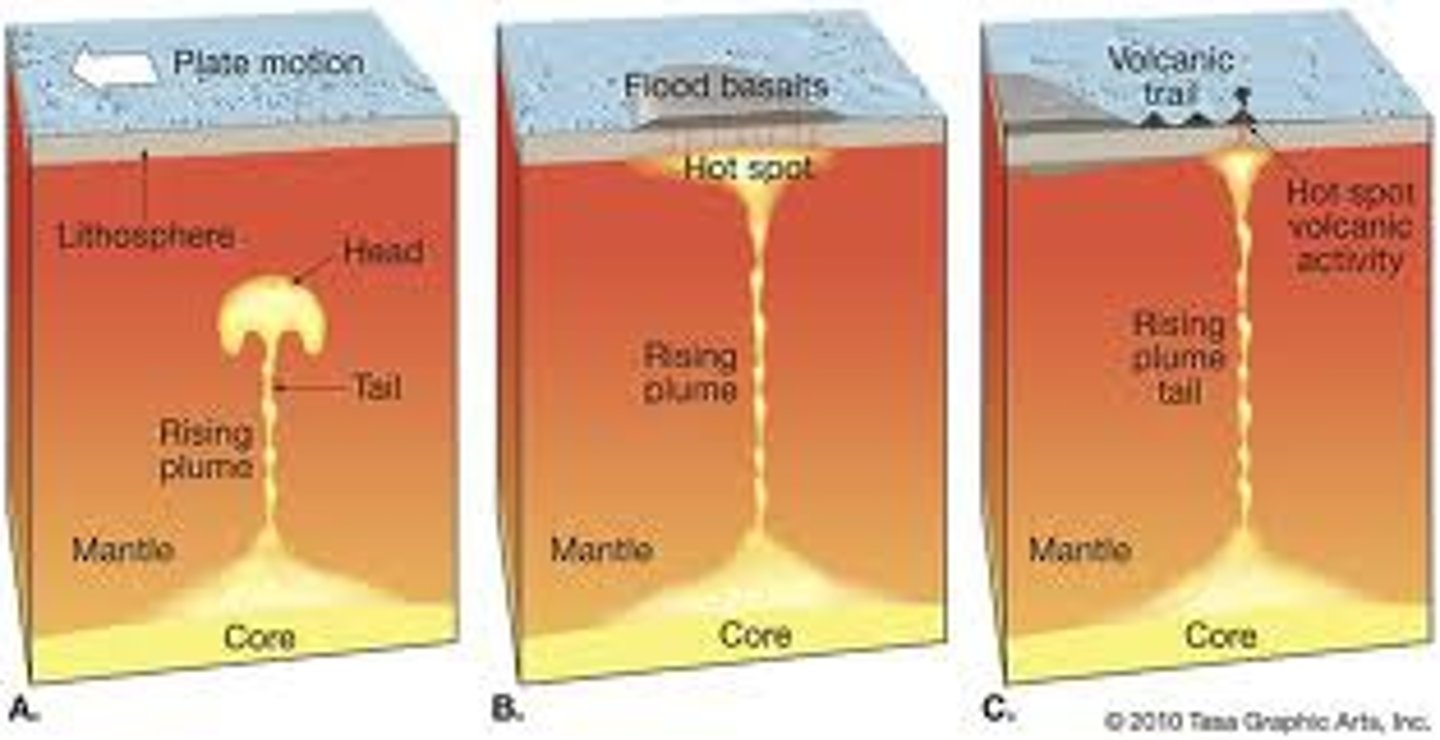 <p>A large column of magma (hot rock) that rises up through the mantle to the surface.</p>