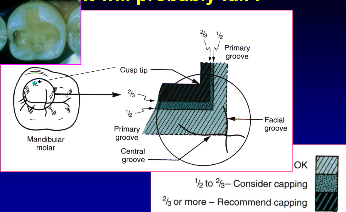 <p>2/3 or more </p>