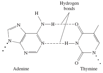 <p>2</p>