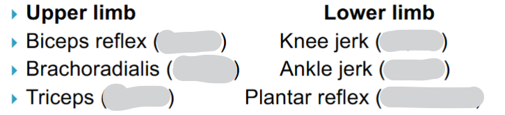 <p>Name the spinal roots involved in each reflex</p>