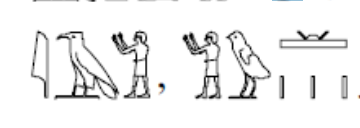 term image