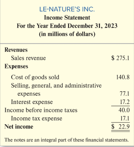 <p>Income Sheet General Structure</p>