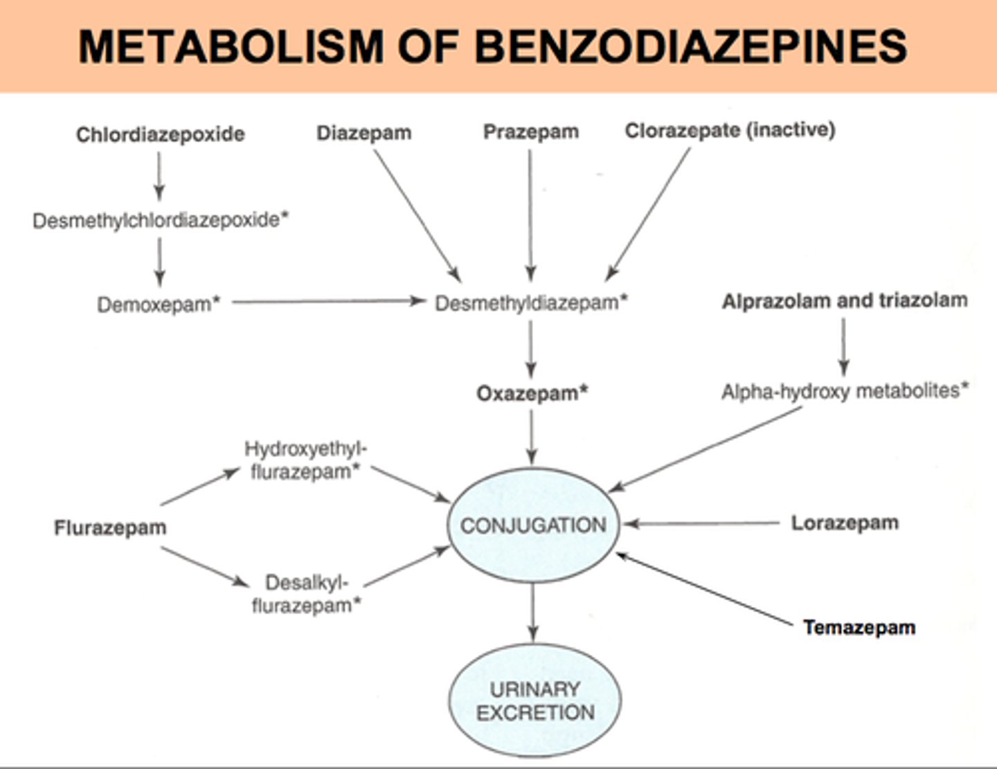 <p>1. 2-keto drugs</p><p>2. 3-OH drugs</p><p>3. Triazolo drugs</p>