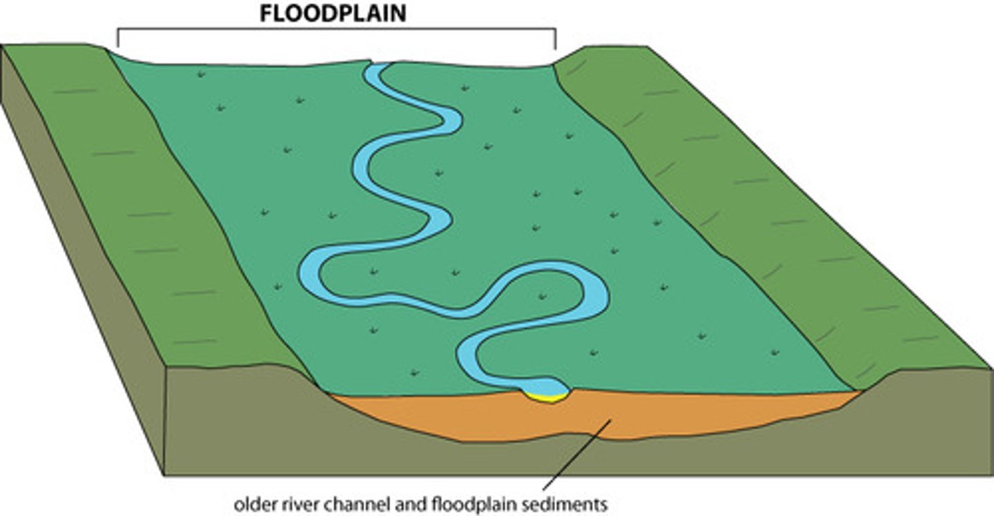 <p>A low plain next to a river that is created from river sediment and is periodically flooded.</p>