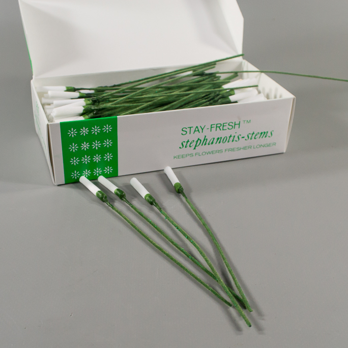 <p>stephanotis stems</p>