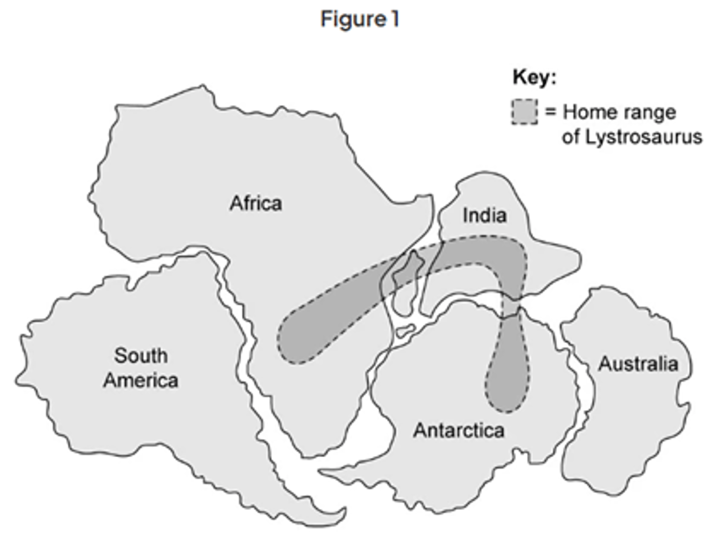 <p>Studying the fossil record can provide evidence for the existence of Gondwana because:<br>Any two from the following:<br>Lystrosaurus fossils can be found across the continents that are no longer connected; <br>Lystrosaurus must have existed in / moved between all of those regions;<br>Proves that there must have been a land bridge/connection between these locations.</p>