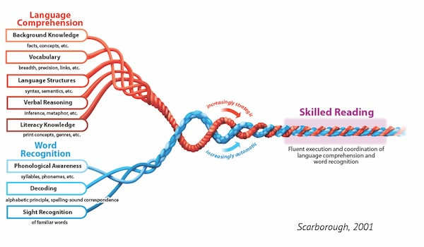 <p>Scarborough’s Rope</p>