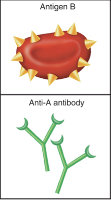 <p>What is this?</p>