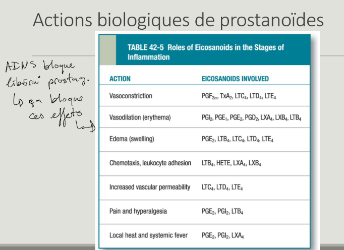<ul><li><p>vasoconstriction</p></li><li><p>vasodilatation</p></li><li><p>oedème</p></li><li><p>chimiotaxie, adhésion leucocytaire</p></li><li><p>augmentation de perméabilité vasculaire</p></li><li><p>douleur et hyperalgie</p></li><li><p>chaleur locale + fièvre systémique</p></li></ul><p></p>