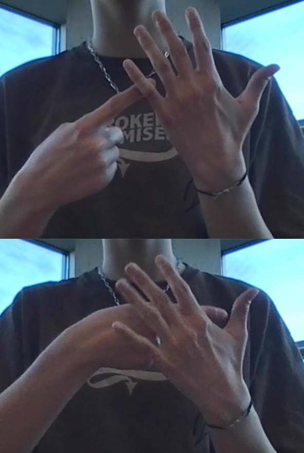 term image