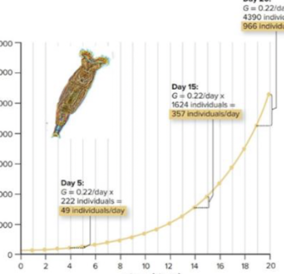 <p>average growth rate over an interval of time; J-shaped</p>