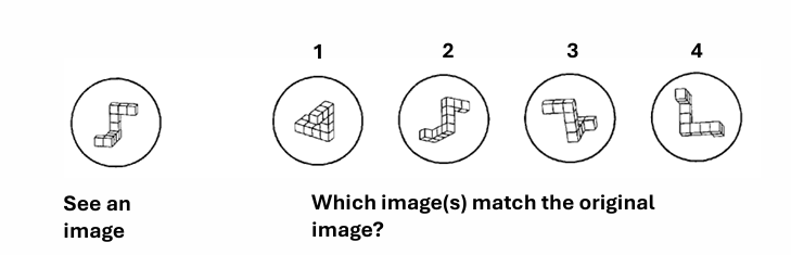 <p>rotation in space = turning an object </p><p>mental rotation = turning an object in your mind </p>