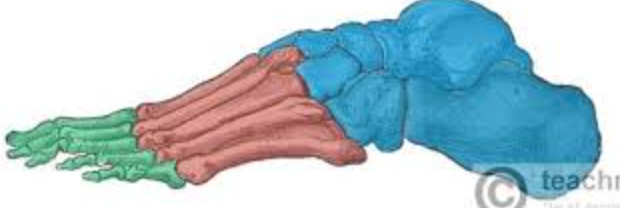 <p>(blue)</p>