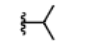 <p>-CH(CH<sub>3</sub>)<sub>2</sub></p>