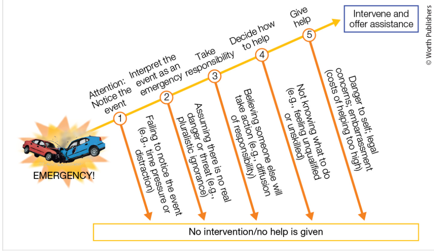 <ul><li><p>social cues can often influence ambiguity of a situation</p><ul><li><p>eg. reactions of others</p></li></ul></li><li><p>need to recognise that inaction of others may be because of uncertainty rather than accurate judgment of the situation</p></li><li><p>high risk situations often reduce intervention unless danger is severe and unambiguous</p></li><li><p>helping is not an automatic response - must navigate each step</p><ul><li><p>barriers at any stage can prevent intervention</p></li></ul></li><li><p>by understanding steps we can develop better strategies to encourage prosocial behaviour and ensure that more people get the help they need</p></li></ul><p></p>