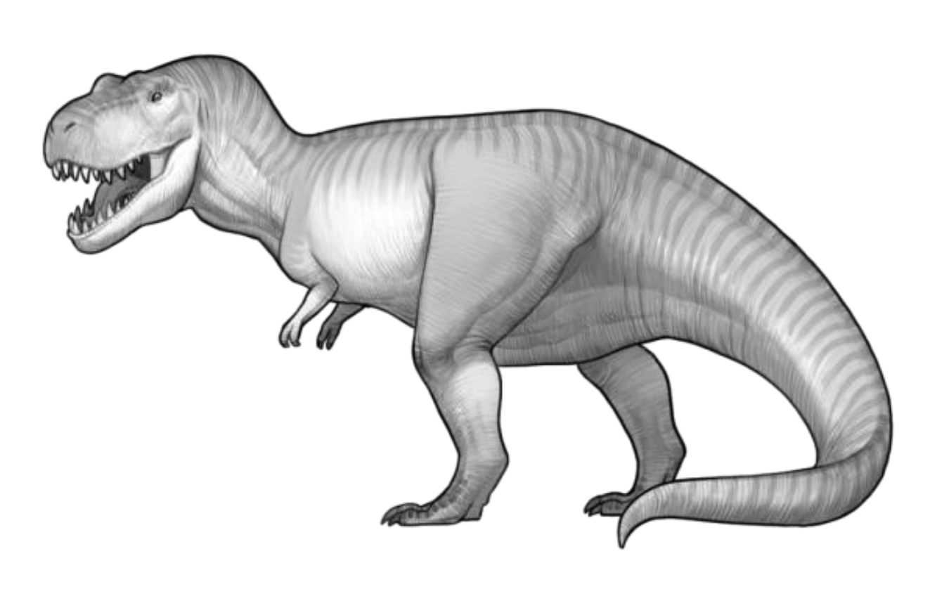 <p>Tyrannosaur</p>