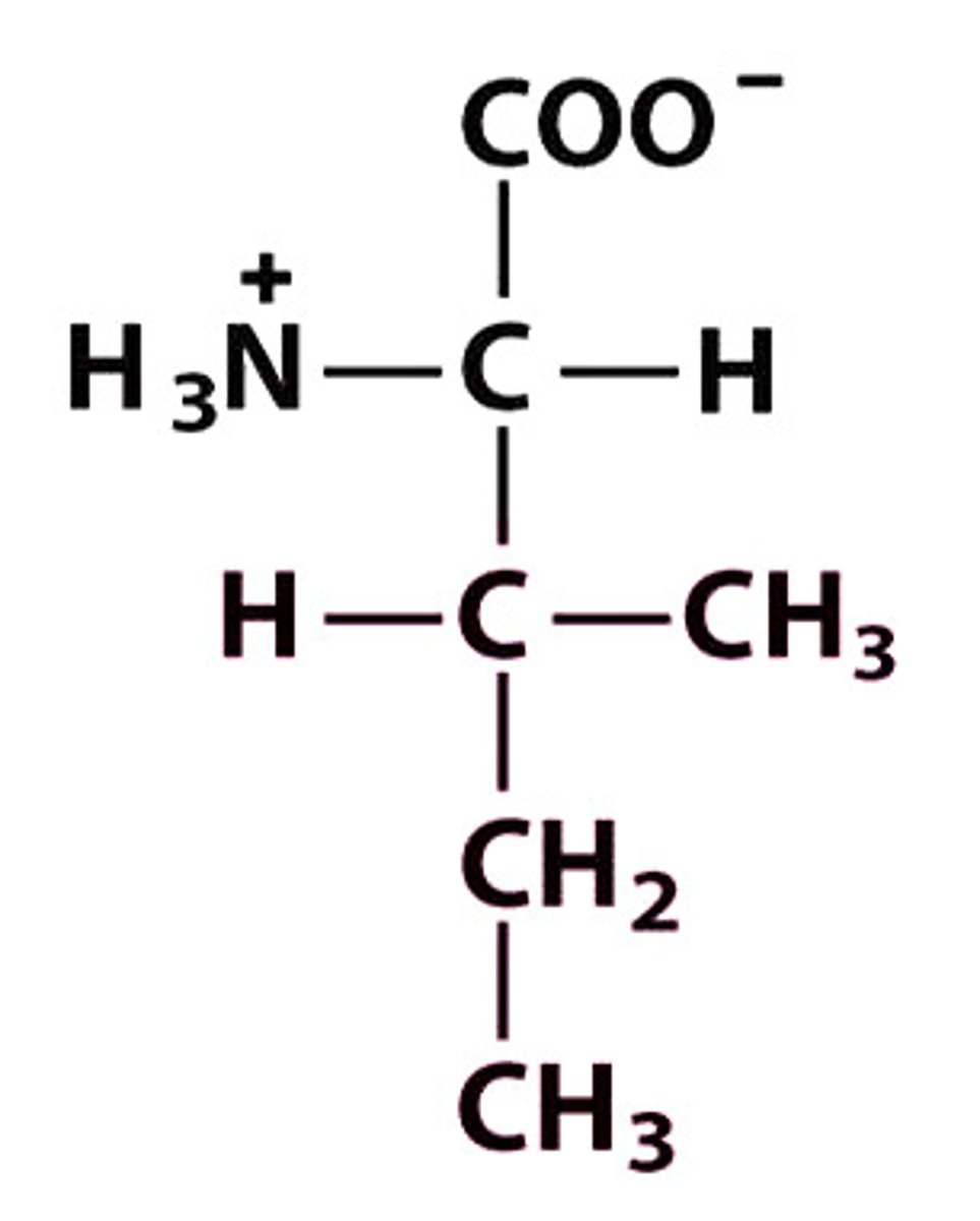 <p>Give the symbol, abbreviation, name of this amino acid</p>