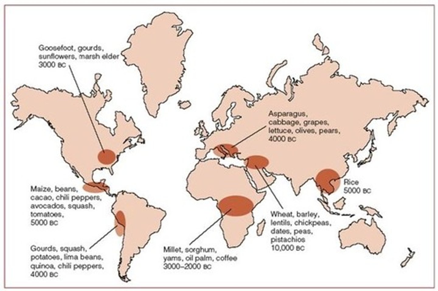 <p>a place from which an innovation originates</p>