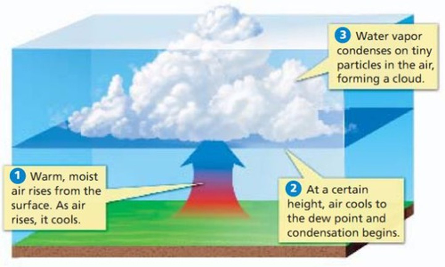 <p>Water vapor in the air condenses around condensation nuclei to form cloud droplets. Droplets combine - become heavy enough to fall as precipitation</p>