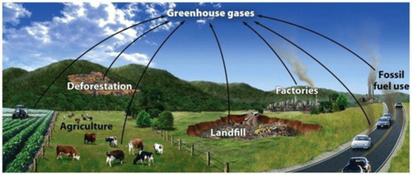 <p>Fossil fuel combustion, landfill emissions, deforestation, and agricultural practices.</p>
