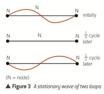 <ul><li><p>The pattern from the first harmonic disappears and a new pattern is observed with two equal loops along the rope</p></li><li><p>It has a node at the centre as well as either end</p></li><li><p>It is formed when the frequency is twice as high as in figure 2, corresponding to half the previous wavelength</p></li><li><p>Because distance between adjacent nodes = 1/2<span>λ</span></p></li><li><p><span>Length of the rope is one full wavelength</span></p></li></ul><p></p>