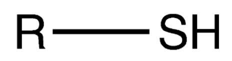 <p>-SH bonded to a carbon atom </p>