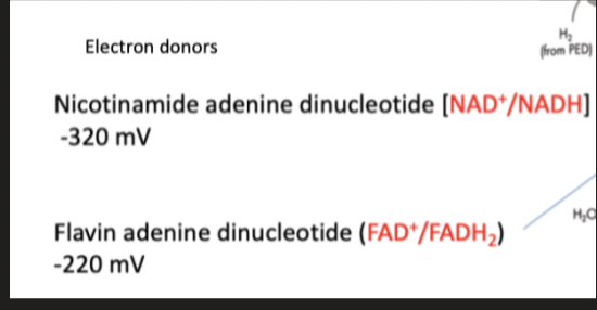           

* Accepts electrons from more      redox -ve donors and donates electrons to more redox positive acceptors
* Microbes maximize their      ability to conserve energy derived from oxidation reduction reactions

      