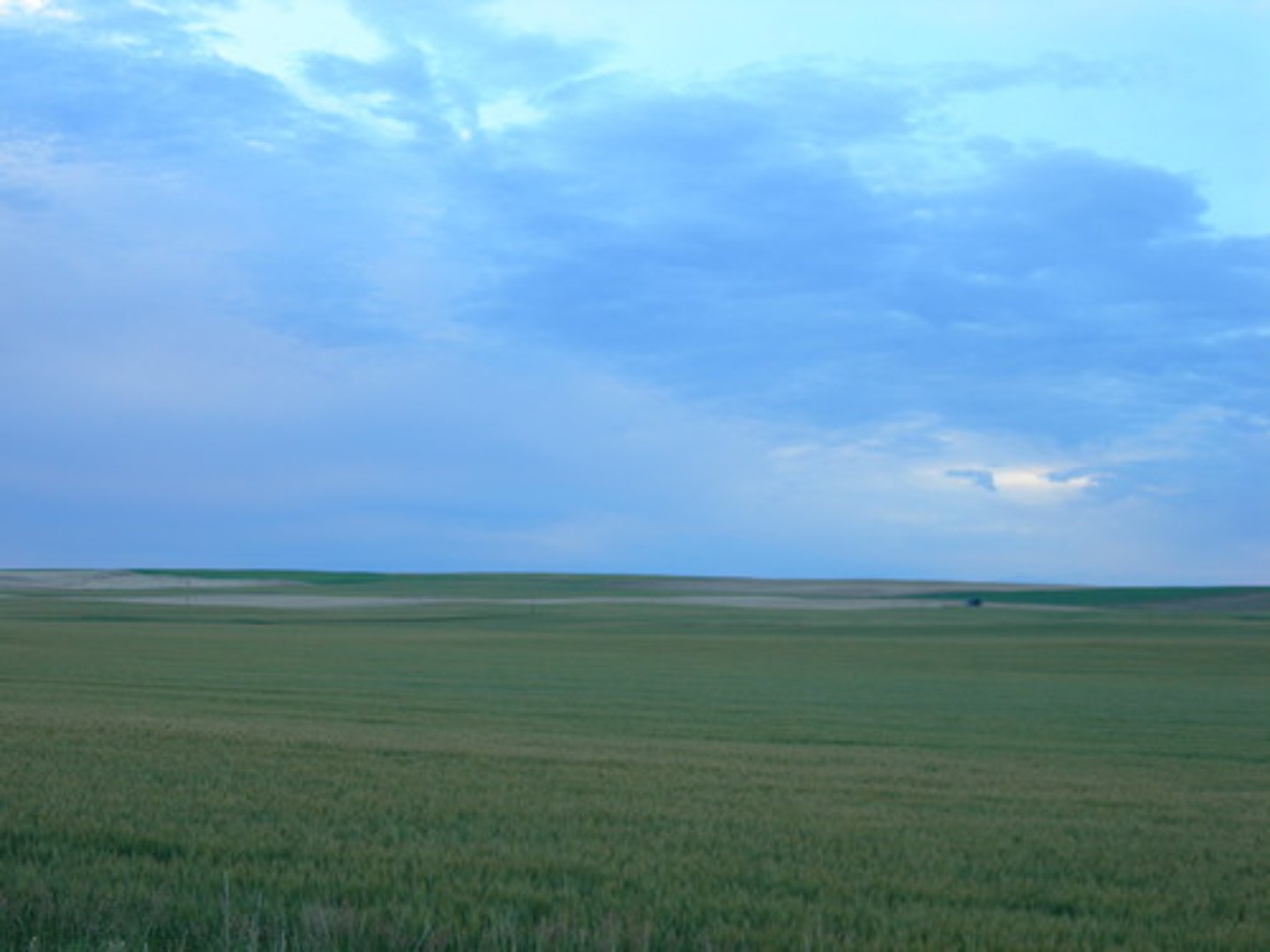 <p>a large area of grassy, flat land</p>