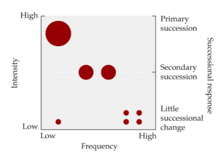 <ul><li><p>primary succession must have a rare, high-intensity event to occur</p></li><li><p>secondary succession must have an infrequent, medium-intensity event to occur</p></li></ul>