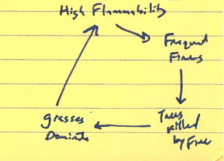 <p>What does this drawing represent?</p>