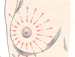 <p>palpating from the nipple to the posterior</p>