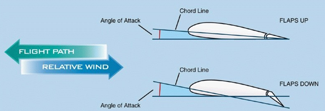 <p>Which wing would produce more lift?</p>