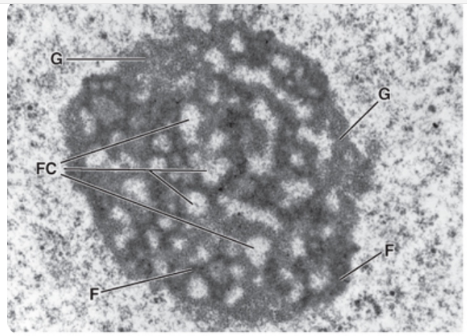 <p>what is this?</p>