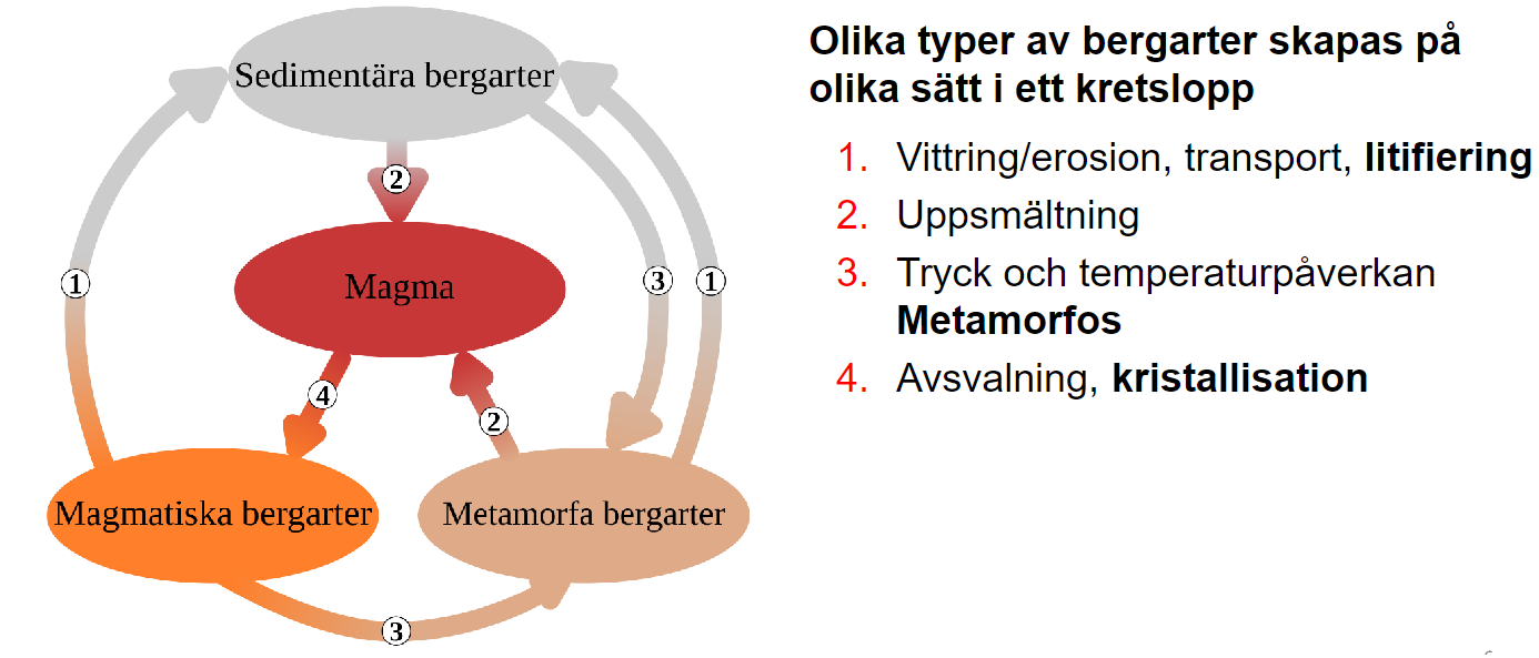 
1. Vittring/erosion, transport, litifiering
2. Uppsmältning 
3.  Tryck och temperaturpåverkan
4. Metamorfos 
5. Avsvalning, kristallisation