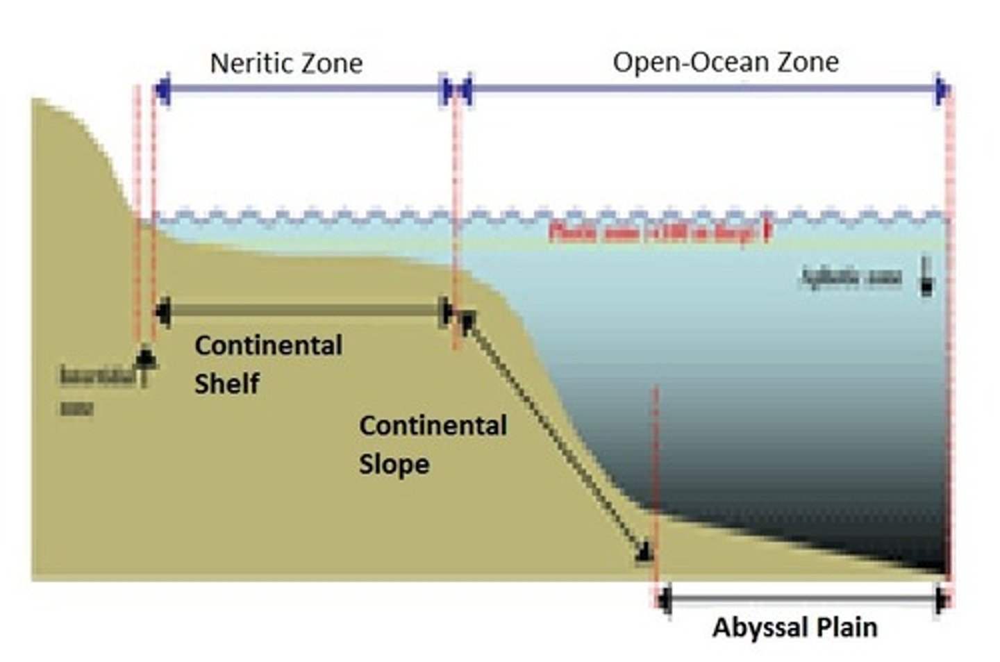 <p>Deep ocean water, located away from the shoreline where sunlight can no longer reach the ocean bottom.</p>