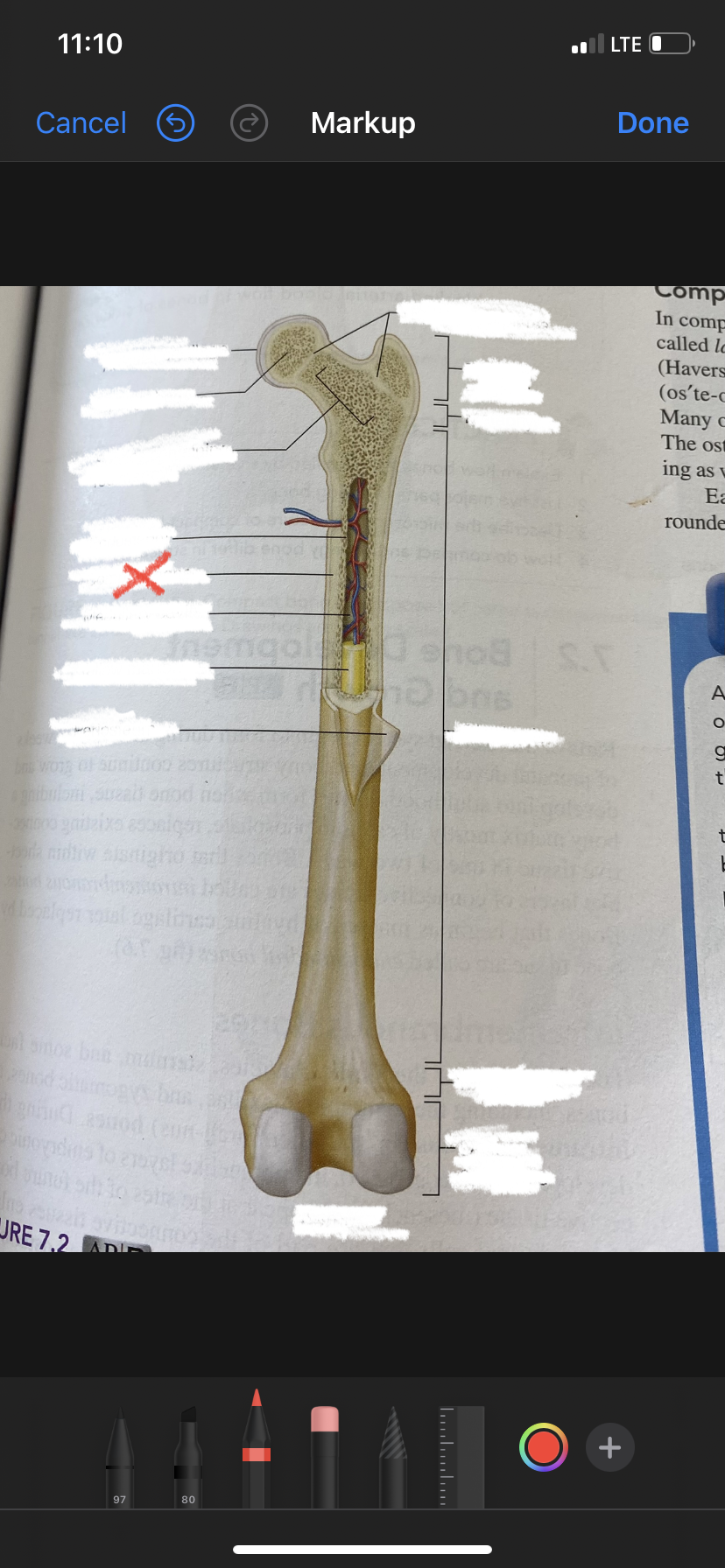 knowt flashcard image