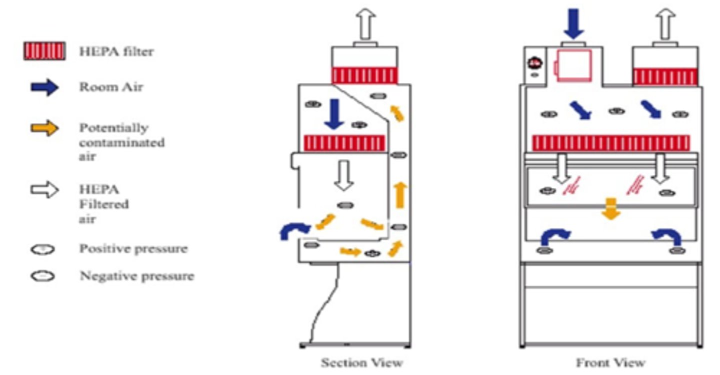 <p>Which type of biological safety cabinet is shown here?</p><p>A. Class II, Type BI</p><p>B. Class I</p><p>C. Class II, Type B2</p><p>D. Class II, Type A2</p><p>E. Class III</p>