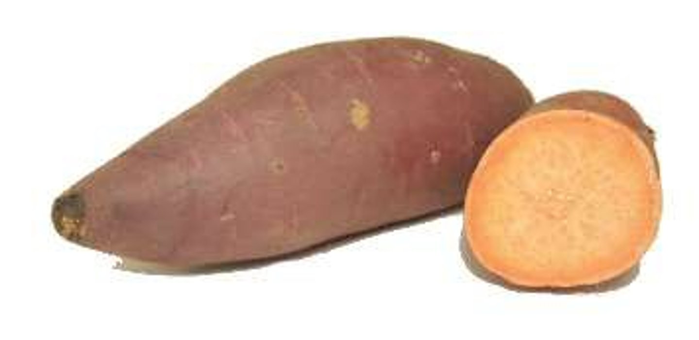 <p>-domesticated plants (foods) that the Polynesians brought with them when they migrated through the Pacific Islands; they would fill their outrigger canoes up with these items and bring them </p><p>-That way when they arrived at a new island they would be ready to go with food to grow right away</p><p>-They would also bring domesticated animals like pigs and chickens</p><p>-These two crops had a big demographic impact, as populations on the islands went up due to the new sources of calories and healthier diets</p><p>-These plants also had an environmental impact on the islands in Oceania. In order to grow them, forests were cleared, trees knocked down, and rivers used for irrigation</p><p>-They also had an environmental impact because as they grew, they took resources, land, and water away from other native plants on islands like Hawaii and Fiji in Oceania</p>