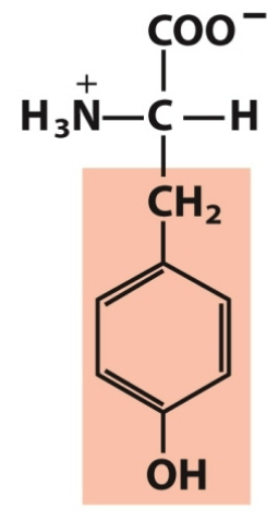 <p>Nonpolar, aromatic</p>