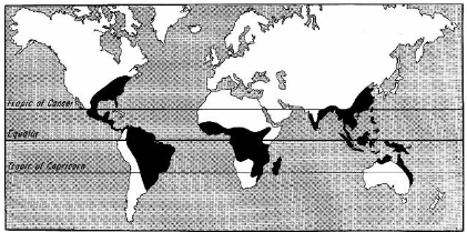 <p><span>AKA new world hookworm</span></p><ul><li><p><span>Distribution: Southern US, Appalachia</span></p></li><li><p><span>Prefers sandy, moist, shaded soil</span></p></li><li><p><span>1865-1910 estimated 40% of the population of US South suffered from hookworm disease</span></p><ul><li><p><span>Rockefeller Foundation Public Health Campaign</span></p></li><li><p><span>Associated with stereotypes of stupid Southerner</span></p></li></ul></li></ul><p></p>